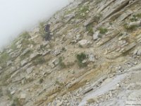 2026-07-28 Vetta Orientale 255